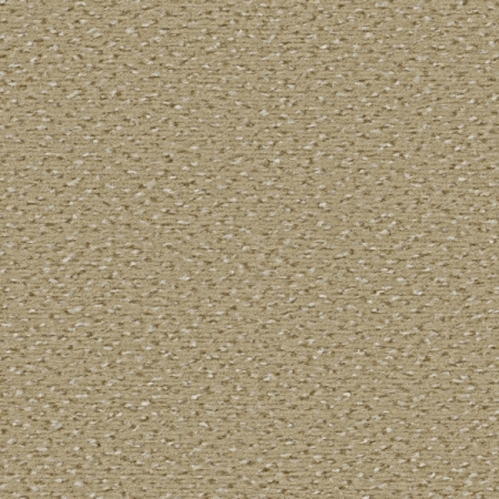Alexis - 8K58